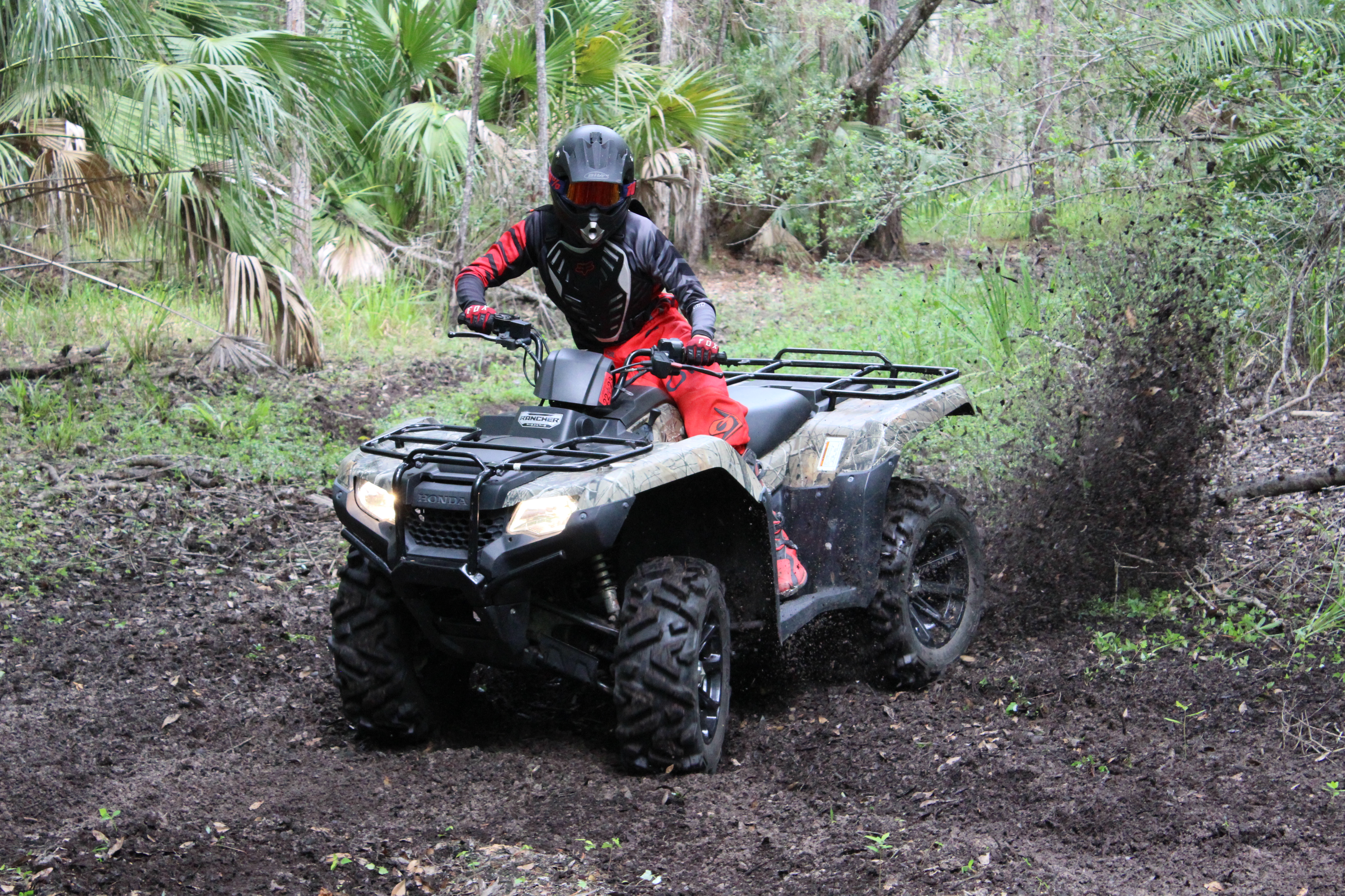 B3 enjoying the outdoors